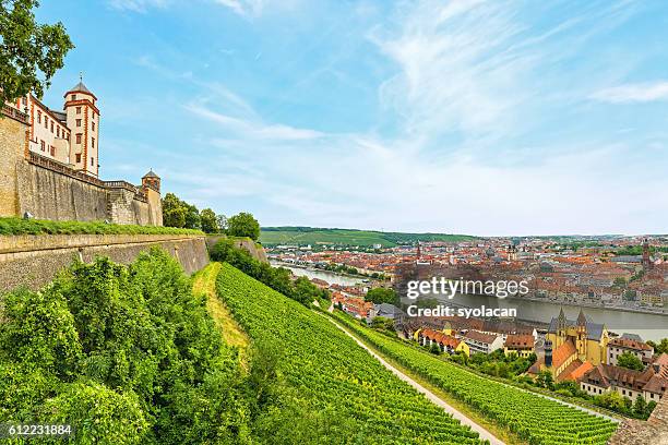 wurzburg from marienberg fortress, germany - syolacan 個照片及圖片檔