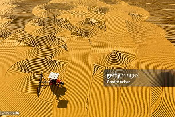 pounded wheat field - gaziantep city stock pictures, royalty-free photos & images