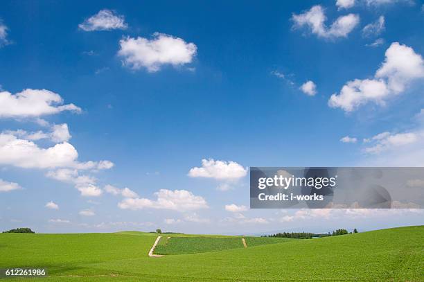 field, hokkaido prefecture, japan - 上川町 ストックフォトと画像