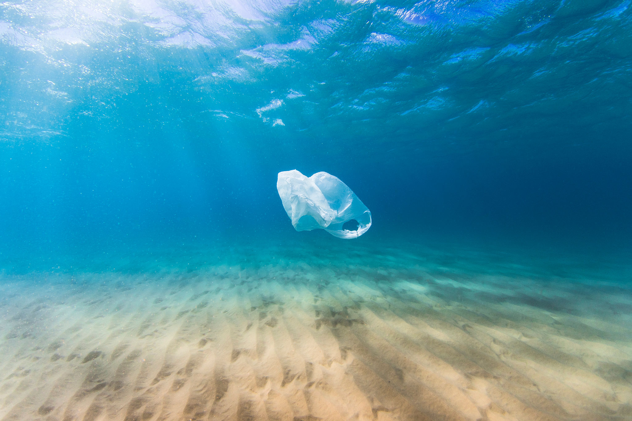 marine protection
