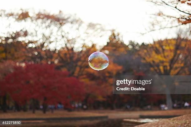 Bubble in Park