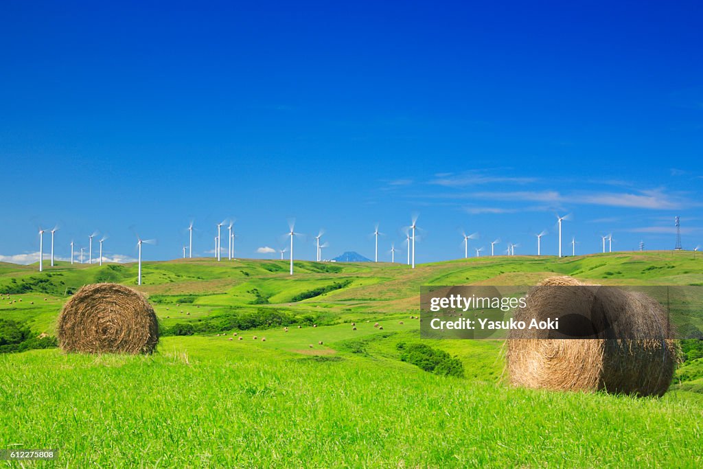 Rural Landscape with Haybales and Wind Turbines