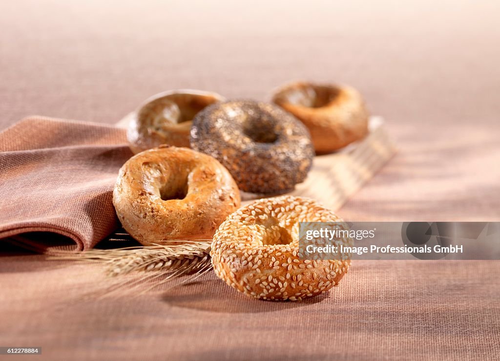 Still life with assorted bagels