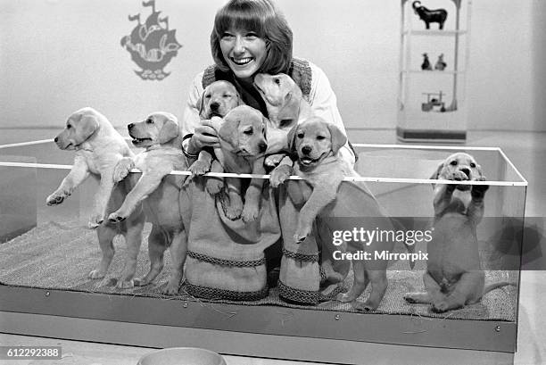 Lesley Judd. "Blue Peter" and Puppies. January 1975 75-00022-003