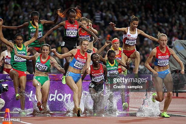Meter Hindernis women Steeplechase Leichtathletik athletics Olympische Sommerspiele in London 2012 Olympia olympic summer games london 2012