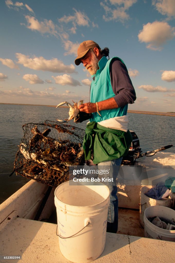 Fisherman With a Basket of Crabs