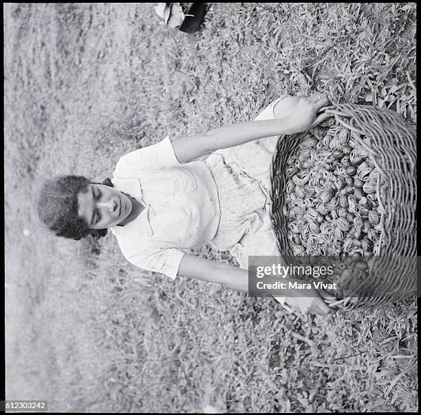 Girl With Basket of Nuts, Grenada