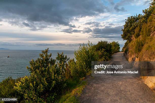 track by the sea - mount maunganui stock pictures, royalty-free photos & images