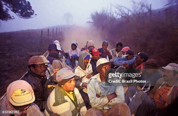 Boias-frias, temporary agricultural laborers going to coffee plantation by truck in the morning, Minas Gerais State, Brazil.