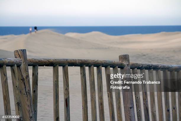 wooden fence surrounding sand dunes - footsteps on a boardwalk bildbanksfoton och bilder