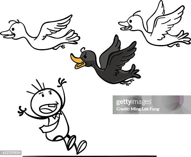 black swan! - black swan stock illustrations