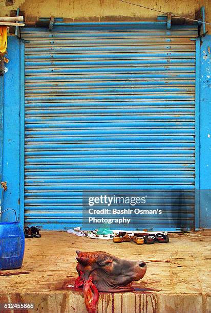 streets of karachi - indian bison stock pictures, royalty-free photos & images