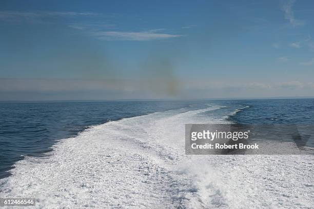 ship's wake with pollution from engine exhaust. - ferry pollution stockfoto's en -beelden