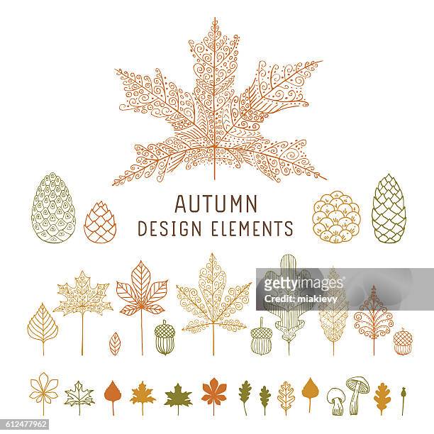 autumn leaves and cones - acorns stock illustrations