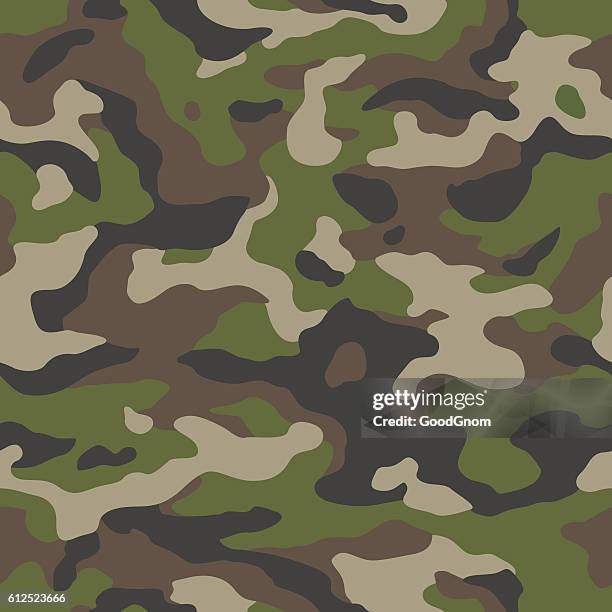 illustrations, cliparts, dessins animés et icônes de camo sans couture - camouflage