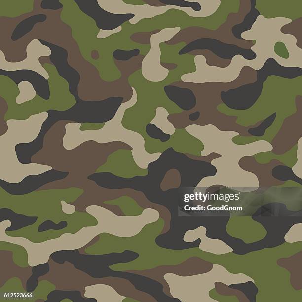 illustrations, cliparts, dessins animés et icônes de camo sans couture - armée de terre