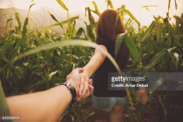couple in love walking on summer inside a corn field with the girl leading the way inside the maze holding hands and the picture is taken from the personal perspective of boyfriend during beautiful sunset in the catalan pyrenees. follow me. - suit photos et images de collection
