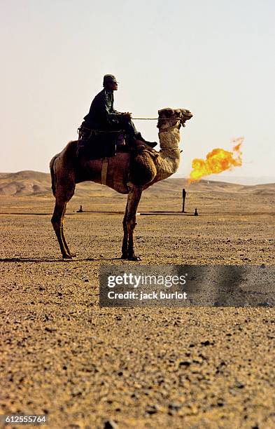 Hassi Riders Hassi Photos and Premium High Res Pictures - Getty Images