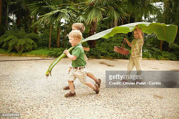 Prince Philippe's three children : Emmanuel, Elisabeth, and Gabriel playing with a banana tree leaf in the winter garden at the royal castle of...