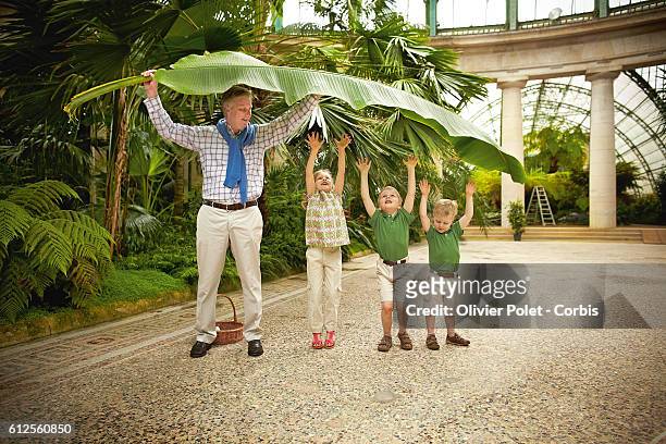 Prince Philippe with his three children, Elisabeth, Gabriel, and Emmanuel playing with a banana tree leaf in the winter garden section of the royal...