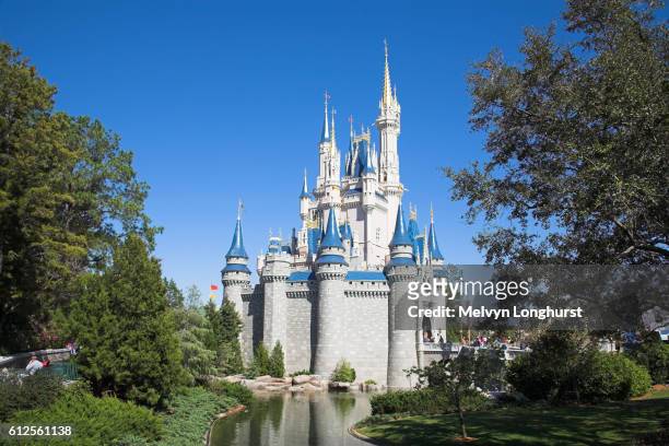  fotos e imágenes de Disney Orlando - Getty Images