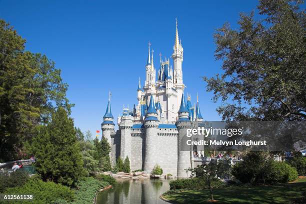 cinderella castle, magic kingdom, disney world, orlando, florida, usa - walt disney world fotografías e imágenes de stock