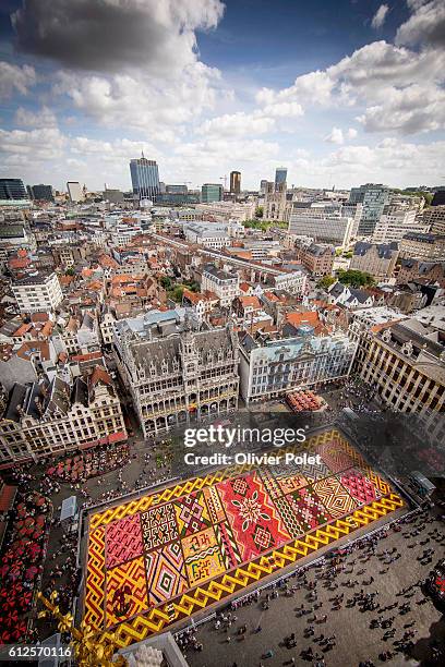 Excclusif angle of the Flower Carpet 2012 on the Grand Place - Grote Markt square in Brussels, 17 August 2012 © Olivier Polet