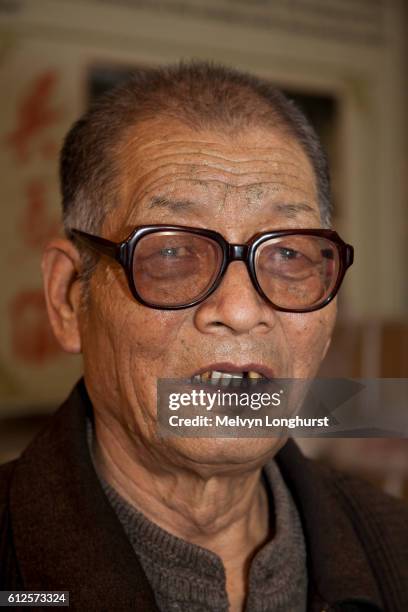 yang xinman, one of the farmers who discovered the terracotta army, xi?an, shaanxi province, china - terrakotta armee stock-fotos und bilder