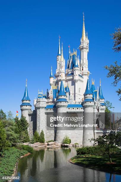Disney Cinderella Castle Photos and Premium High Res Pictures - Getty