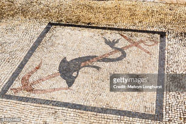 dolphin mosaic on floor in house of the trident, delos archaeological site, delos, near mykonos, greece - delos stock-fotos und bilder