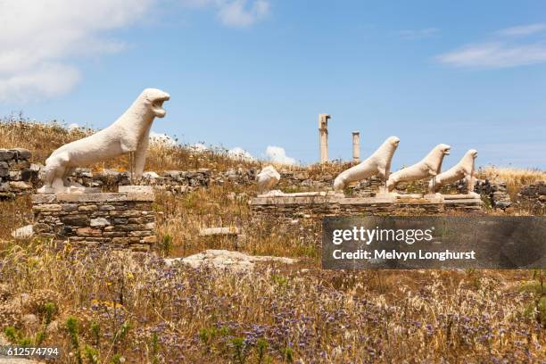 lions of the naxians, terrace of the lions, delos archaeological site, delos, near mykonos, greece - delos stock-fotos und bilder