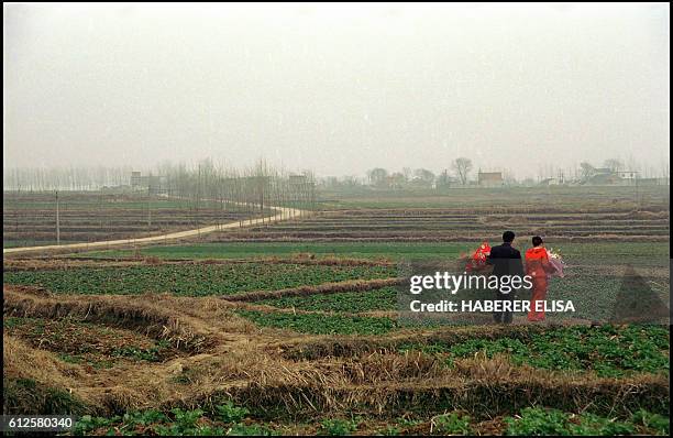Countryside of the north of Anhui Province. Located 1,000 miles to the south of Beijing. 75% of the inhabitants are farmers. Migration to the larger...