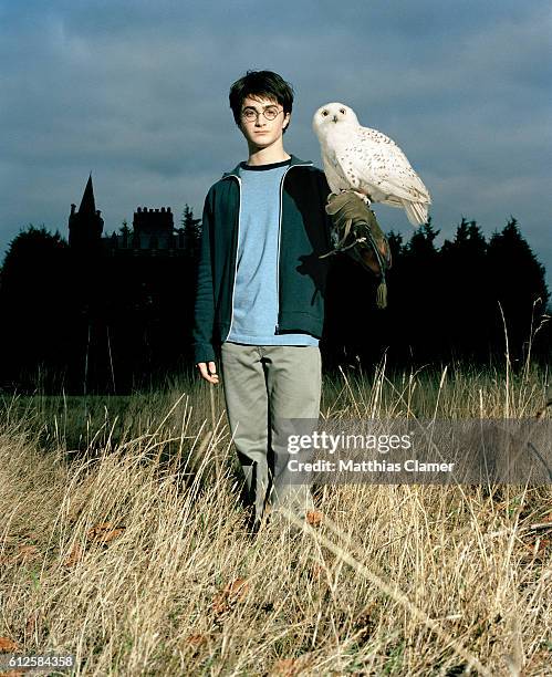 Daniel Radcliffe as Harry Potter