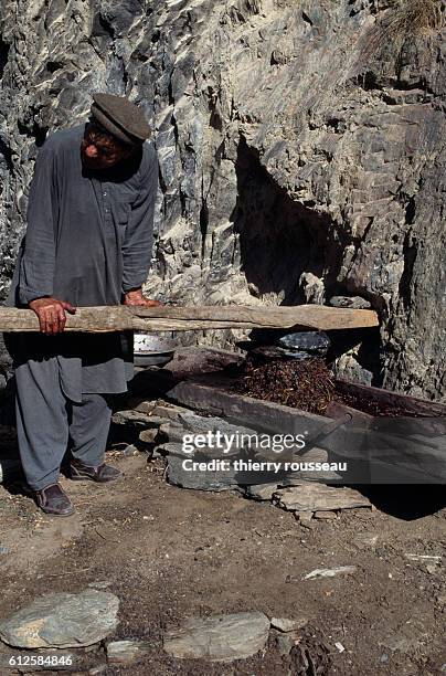 Wine production is limited and a press is improvised with the help of a wooden beam. | Location: Guru, Birir Valley, Pakistan.