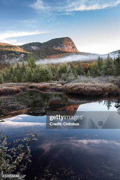 autumn landscape reflection on lake, quebec, canada - quebec landscape stock pictures, royalty-free photos & images