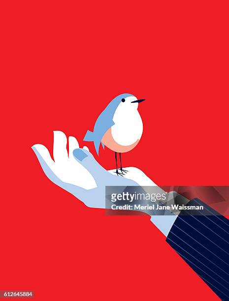 business man with a bird in his hand - trust stock illustrations