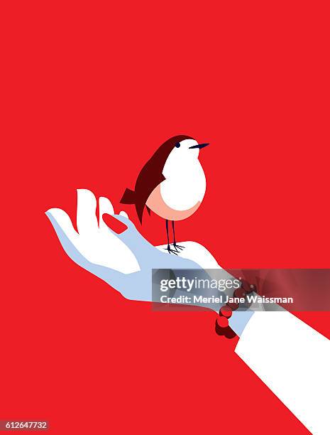 business woman with a bird in her hand - confidence illustration stock illustrations