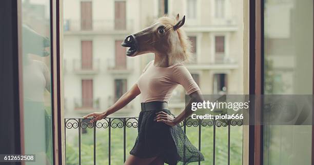 23 530点の馬 顔のストックフォト Getty Images 23 530点の馬 顔のストックフォト Getty Images