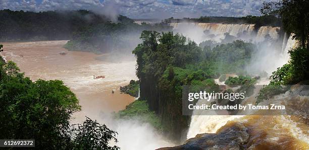 majestic iguazu falls - iguacu falls stock-fotos und bilder