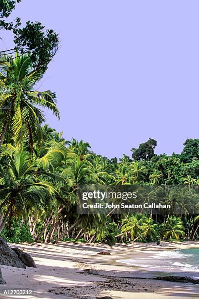 beach in the nicobar islands - andaman and nicobar islands stock pictures, royalty-free photos & images