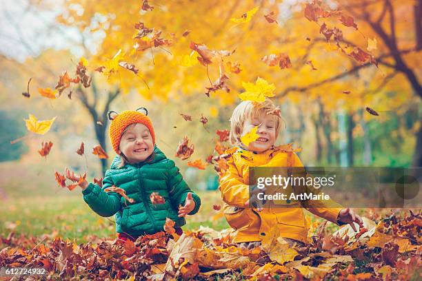 kleiner junge und mädchen im herbstpark - boy throwing stock-fotos und bilder