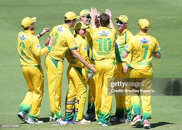 Brendan Doggett of CA XI celebrates with team mates after taking the wicket of Ben Dunk of Tasmania during the Matador BBQs One Day Cup match between...