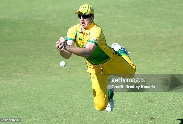 Tom O'Donnell of the CA XI drops a catch during the Matador BBQs One Day Cup match between Tasmania and the Cricket Australia XI at Allan Border...