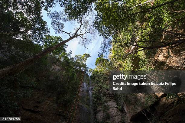 waterfall mouth - palmas tocantins stockfoto's en -beelden