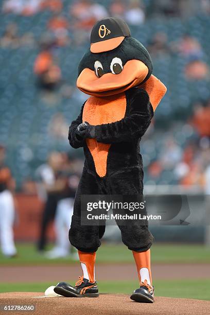 The Baltimore Orioles mascot on the field before a baseball game against the Arizona Diamondbacks at Oriole Park at Camden Yards on September 23,...