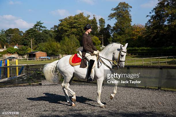 Hannah Zeitlhofer, a rider with the Spanish Riding School of Vienna rides her horse Maestoso Beja I at Dell Park Farm on October 4, 2016 in Egham,...