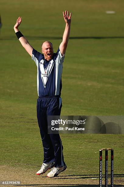 Michael Beer of the Bushrangers celebrates the wicket of Jake Lehmann of the Redbacks during the Matador BBQs One Day Cup match between South...