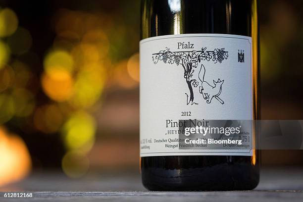 Bottle of 2012 Weingut Friedrich Becker Estate pinot noir wine, also known as spaetburgunder, sits on display inside the vintner's estate in...