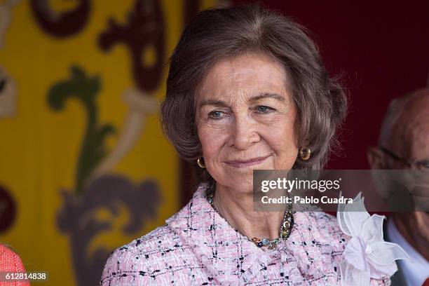 Queen Sofia attends the Red Cross Fundraising day event on October 5, 2016 in Madrid, Spain.