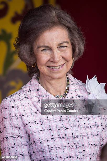 Queen Sofia attends the Red Cross Fundraising day event on October 5, 2016 in Madrid, Spain.